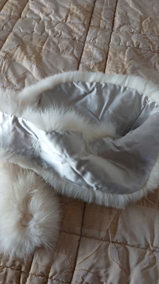 Collo di volpe bianca