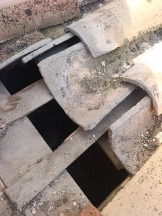 Especialista en tejados