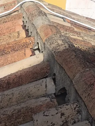 Especialista en tejados