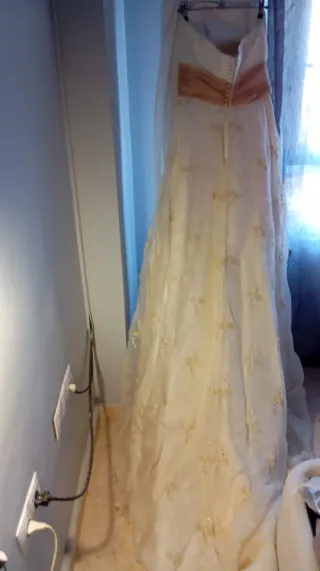Vestido de Novia beige y Dorado