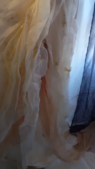 Vestido de Novia beige y Dorado