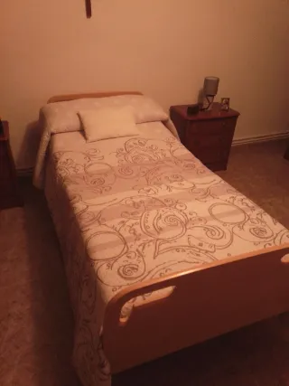 Cama articulada  con colchón antiescaras