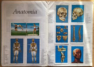 Album de Cromos Ciencias Naturales 1