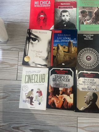 Lote de libros,tambien por individual