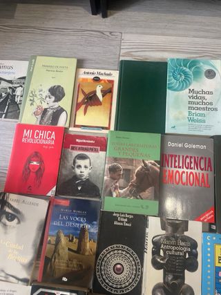 Lote de libros,tambien por individual