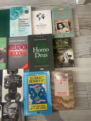 Lote de libros,tambien por individual