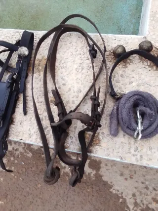 Arreos poni y arreos sueltos