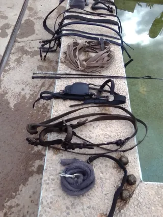 Arreos poni y arreos sueltos