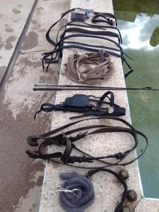 Arreos poni y arreos sueltos