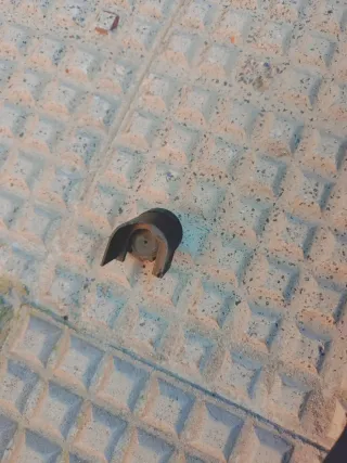 Tapa motor Toyota Avensis 2007