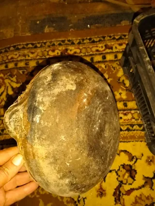 Lata antigua Especiaria Valenciana