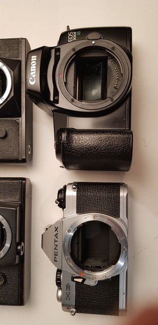 6 cuerpos de cámara réflex.