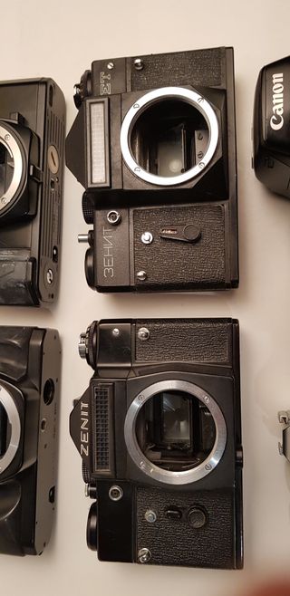 6 cuerpos de cámara réflex.