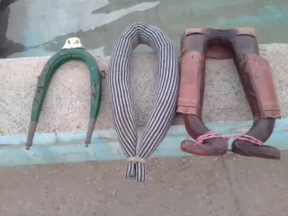 Arreos de cochero y cochera