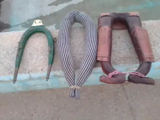 Arreos de cochero y cochera