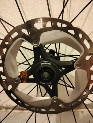 Rueda bicicleta WSion dañada