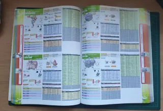 Guía pokédex Pokémon SoulSilver y HeartGold