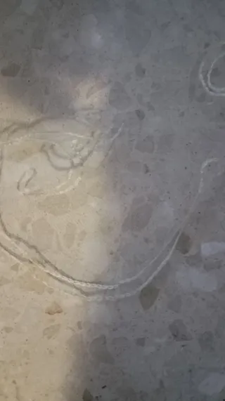 Velo de Novia Blanco