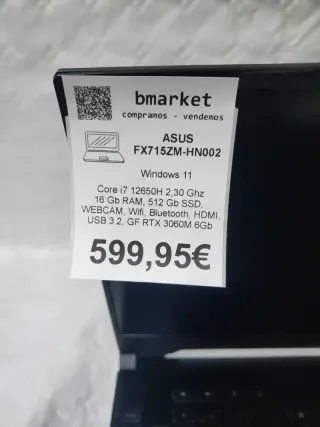 Portátil ASUS FX715ZM-HN002