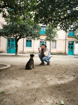 Paseador de perros y cuidado de gatos BCN