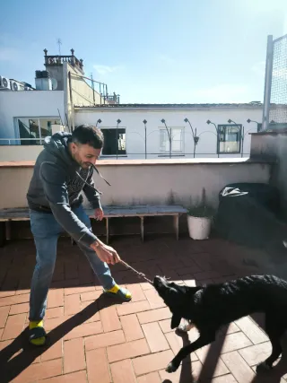 Paseador de perros y cuidado de gatos BCN