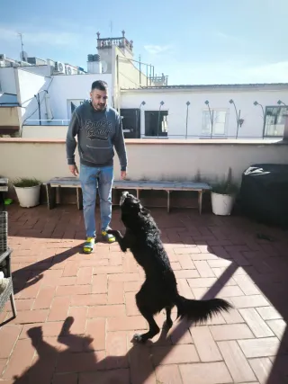 Paseador de perros y cuidado de gatos BCN