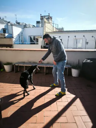 Paseador de perros y cuidado de gatos BCN