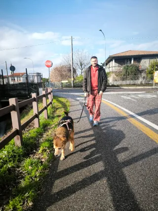 Paseador de perros y cuidado de gatos BCN