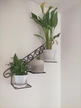 Fioriere artigianali in ferro battuto