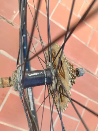 Llanta trasera bicicleta con piñonera