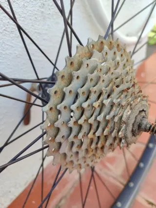 Llanta trasera bicicleta con piñonera