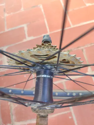 Llanta trasera bicicleta con piñonera