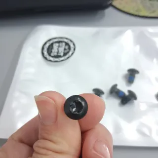 Tornillos Torx para disco de freno