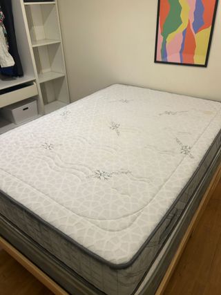 Colchón ciscolastica