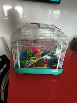 Jaula para hámster con accesorios