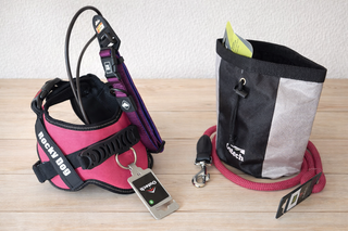 Kit Arnés Acolchado y Correa Perro Rocky Dog