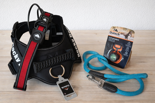 Lote Arnés Rocky Dog + Correa LED