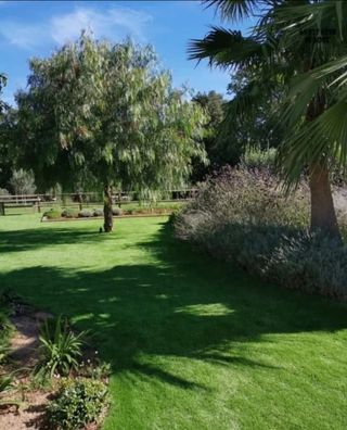 Césped Artificial Reciclado Verde