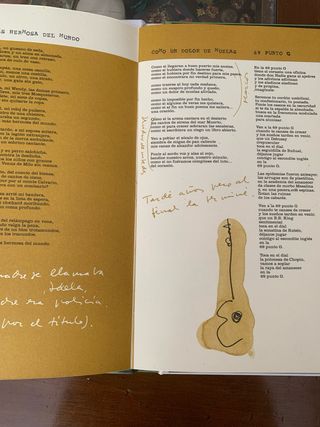 Libro Joaquín Sabina: Diario de un peatón