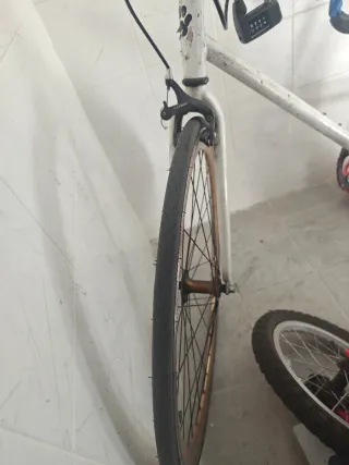 Bicicleta Fixie Urbana