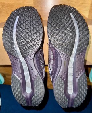 Nike Pegasus Premium SE