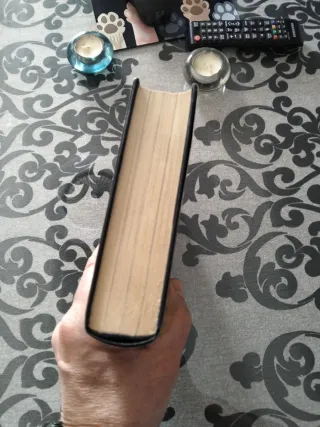 Canción de Susannah (La Torre Oscura 6)