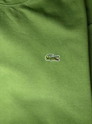 Camisola Lacoste Verde
