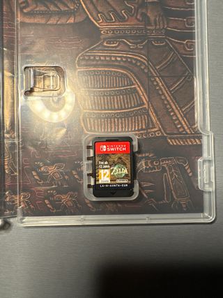 Zelda Tears of the Kingdom Switch