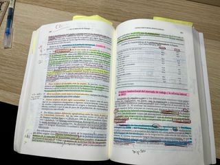 Lecciones de economía española 14ª edición