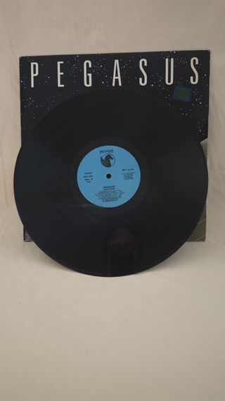 Pegasus - Searching LP Vinilo Italo Disco