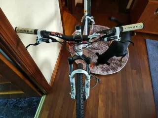 Bicicleta Orbea Blanca