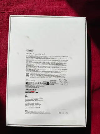 iPad Pro 11 M5 Plata