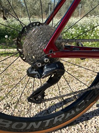 Trek Émonda SL6 2024 - 22 meses poco negociable.