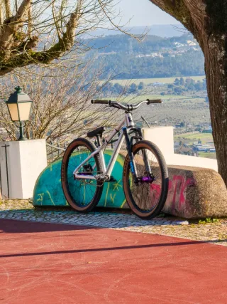 Bicicleta Dirt Jump Radon Slush